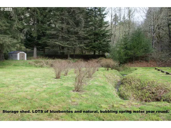 18707 PATAHA CREEK RD, Walton, OR 97490