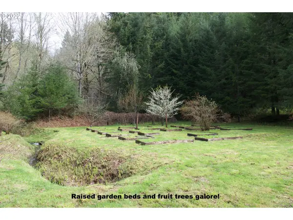 18707 PATAHA CREEK RD, Walton, OR 97490