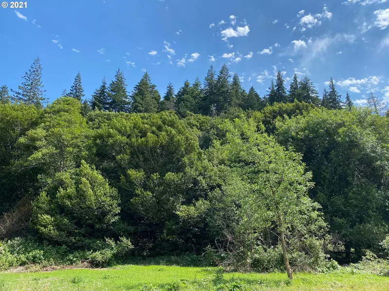 0 Elk River RD, Port Orford, OR 97465