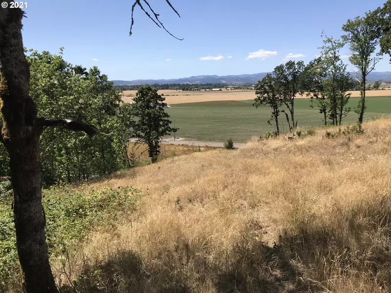 WOODLAND HEIGHTS RD #Lot 1, Amity, OR 97101