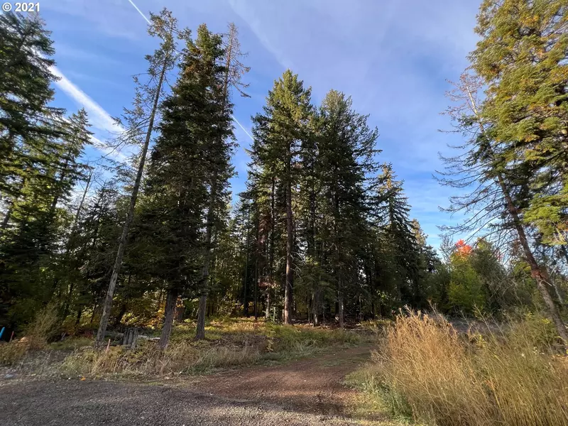 CLEAR CREEK RD, Mt Hood Prkdl, OR 97041