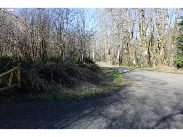 Woodland, WA 98674,0 NE Buncombe Hollow RD