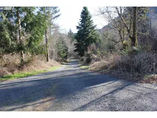 Woodland, WA 98674,0 NE Buncombe Hollow RD