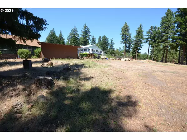 Wamic, OR 97063,331 PONDEROSA WAY