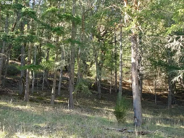 4466 CLARKS BRANCH RD, Myrtle Creek, OR 97457