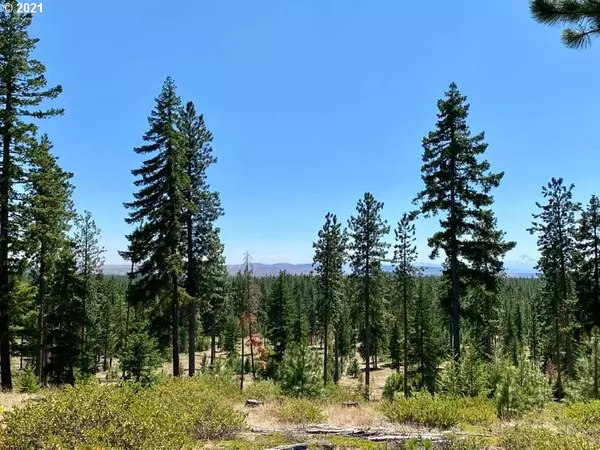 Goldendale, WA 98620,Mule Run RD #Lot19