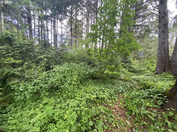 Cannon Beach, OR 97110,W of 196 Hills LN #Lot22