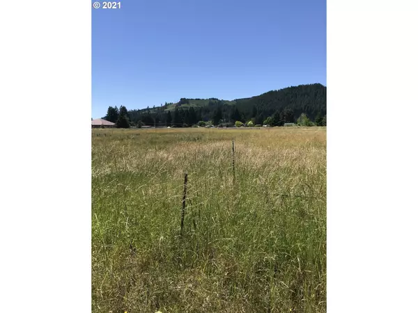 Carson, WA 98610,Annie Meadows #Lot 3