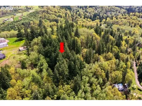 0 NE Eagle View DR, Yacolt, WA 98675