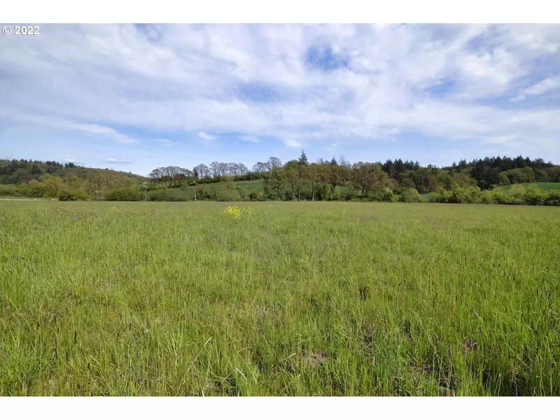 NW Bishop Scott RD, Yamhill, OR 97148