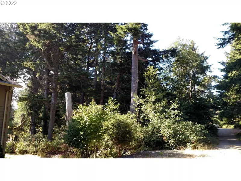 Woodland Heights RD #3500, Arch Cape, OR 97102