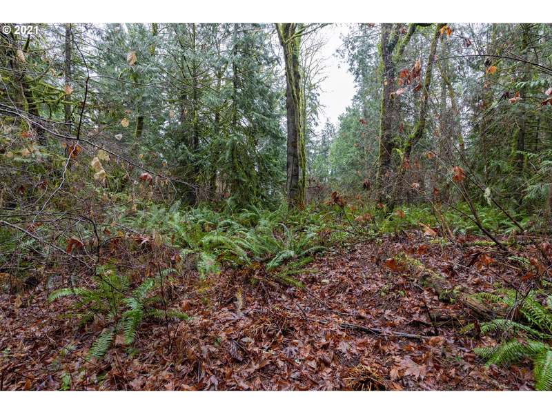 Sandy Hook RD #Lot 1, Poulsbo, WA 98370