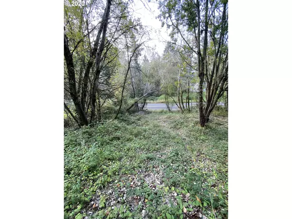 Kelso, WA 98626,0 Haussler RD