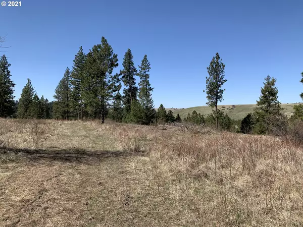 Weston, OR 97886,000 Wild Horse RD