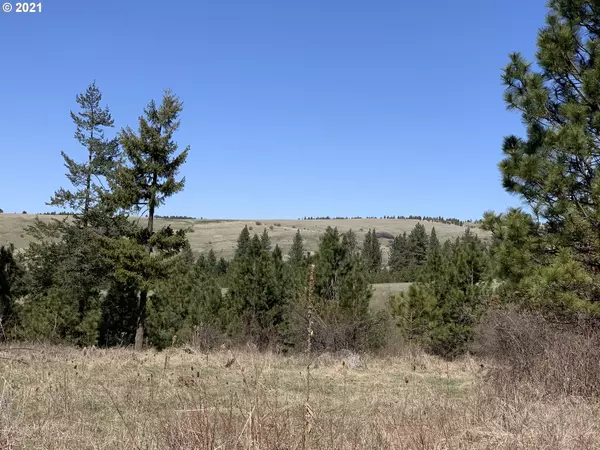 Weston, OR 97886,000 Wild Horse RD