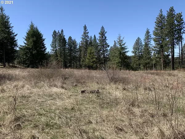 Weston, OR 97886,000 Wild Horse RD