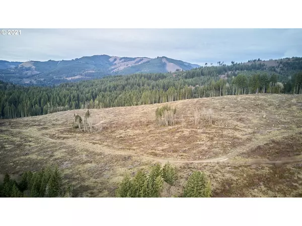 Woodland, WA 98674,1 Pup Creek RD