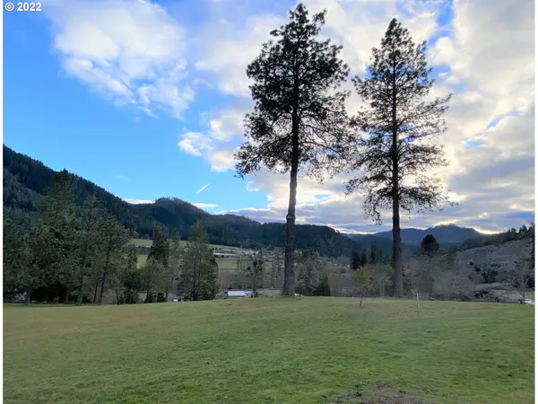 Days Creek, OR 97429,161 VIEW LN