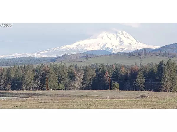 Goldendale, WA 98620,123 Rimrock RD