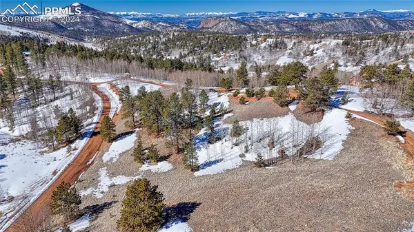 247 Wolftone DR, Cripple Creek, CO 80813