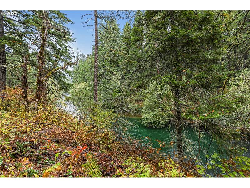 Concorde LN #Lot 2, White Salmon, WA 98672