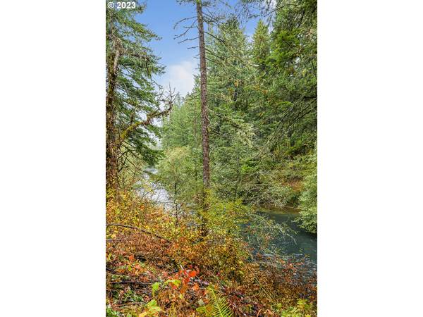 White Salmon, WA 98672,Concorde LN #Lot 2