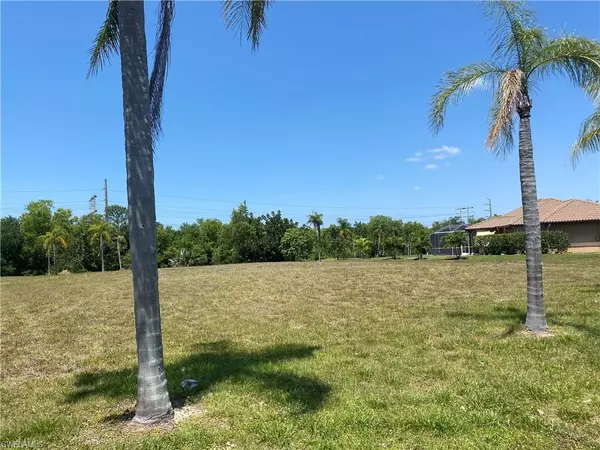 Bonita Springs, FL 34135,24873 Quixote AVE