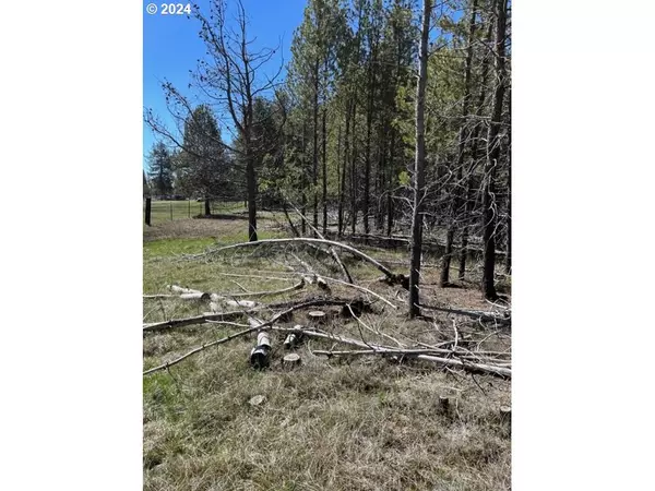 La Pine, OR 97739,0 Split Rail #TL 1900