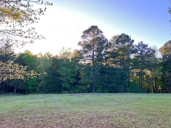 Big Sandy, TX 75755,Lot 35 White Oak Creek Ranch