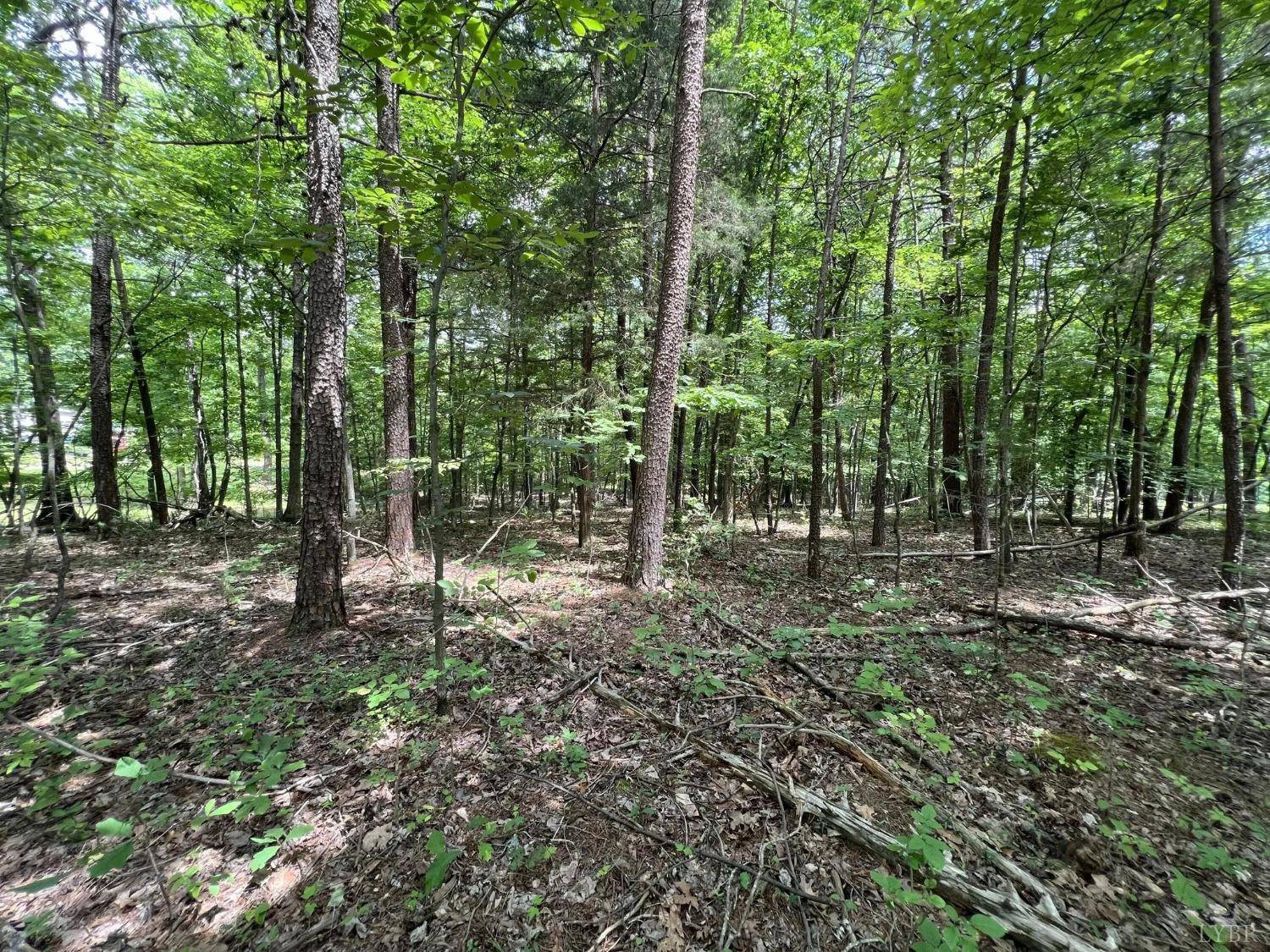 0 Buccaneer RD, Moneta, VA 24121