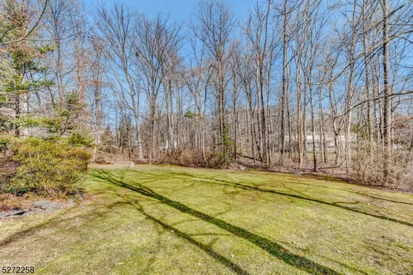 Bernardsville Boro, NJ 07924,66 Ambar Pl