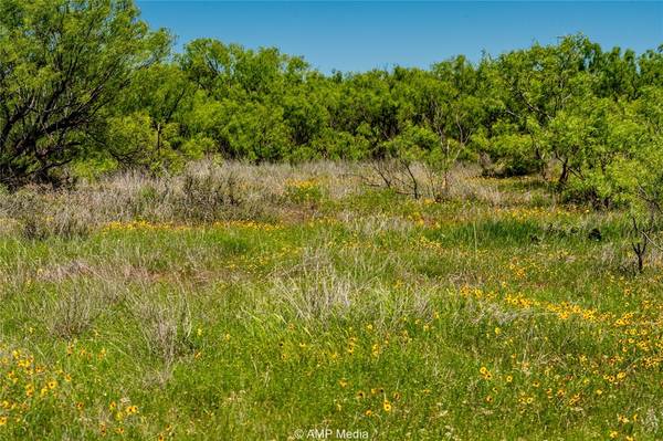 Haskell, TX 79521,TBD FM 600