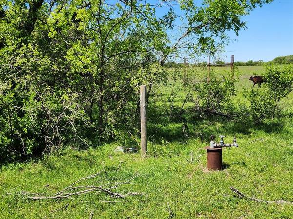 Ranger, TX 76470,TBD County Road 335