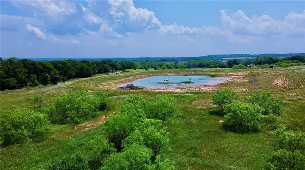 Desdemona, TX 76445,231 Georgia Pass