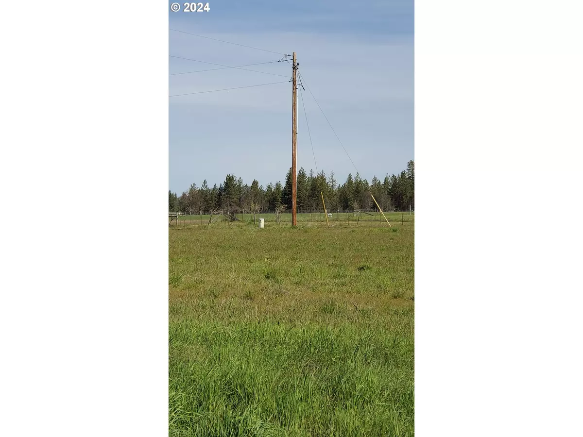 Goldendale, WA 98620,50 Two Mountain Views RD