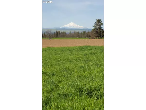 Goldendale, WA 98620,50 Two Mountain Views RD