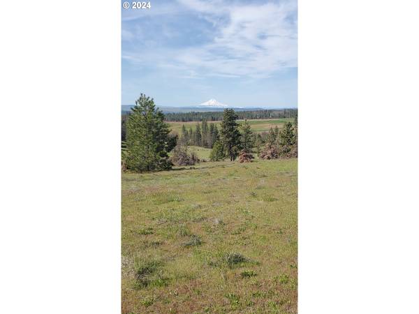 Centerville, WA 98613,40 Mountainscape CIR