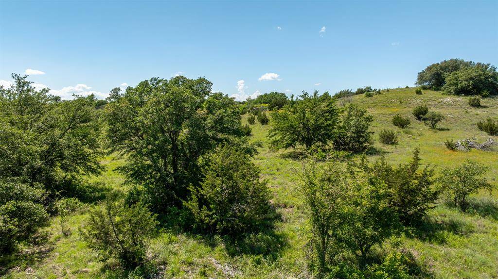 1510 Hidden Oaks Trail, Glen Rose, TX 76043