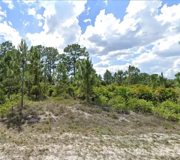 Lehigh Acres, FL 33974,1044 Norfolk AVE S