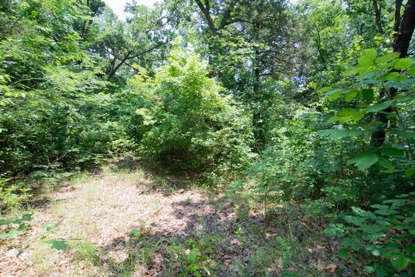 Denison, TX 75021,66 Shady Woods