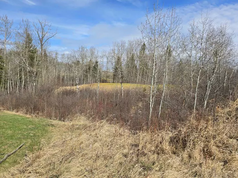 125 Wolf Run DR, Rural Ponoka County, AB T4J 1R3