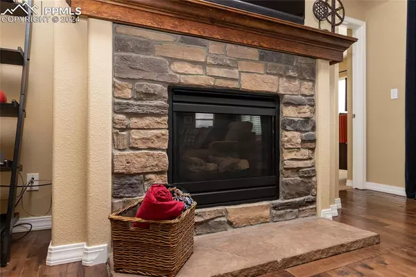 Monument, CO 80132,437 Whistler Creek CT