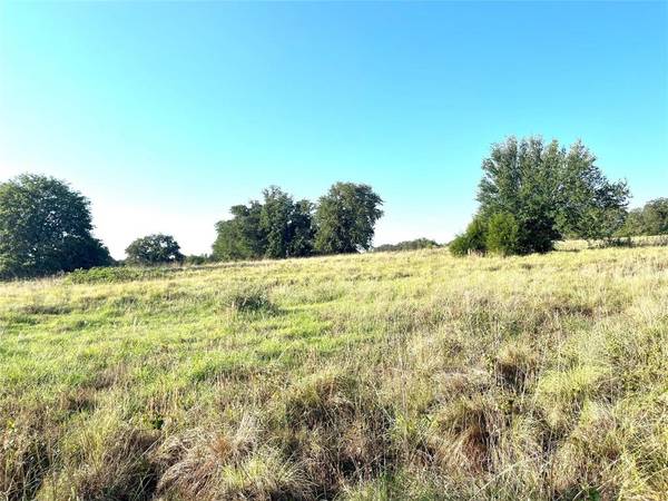 Lot 86 Kerry Ct, Poolville, TX 76487