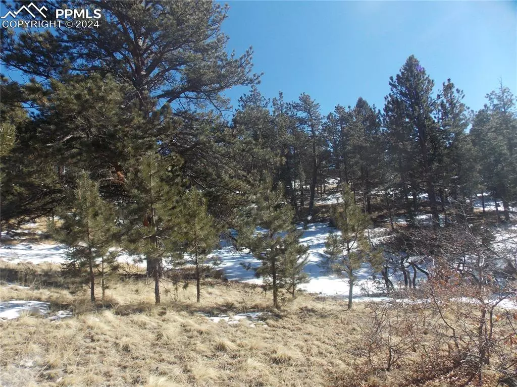 Cripple Creek, CO 80813,817 Moffat DR