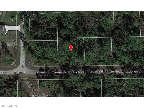 Lehigh Acres, FL 33974,1125 Coral Bells ST E