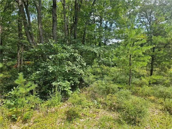 Fox Lane #Lot 148, Penn Forest Township, PA 18229