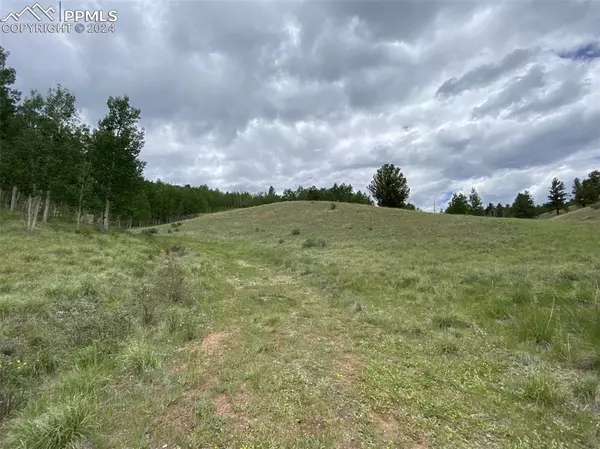 617 Yorktown RD, Cripple Creek, CO 80813