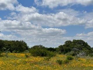 Brownwood, TX 76801,TBD Fm 2492 & CR 103