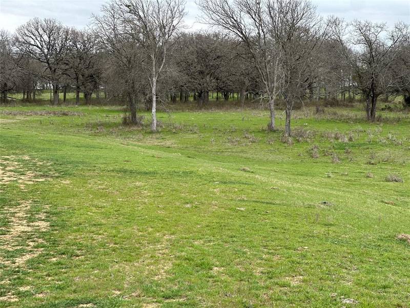 Lot4 Blk2 TBD SH 171, Covington, TX 76636