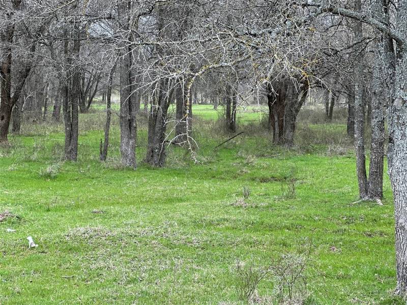 Lot14 Blk1 TBD SH 171, Covington, TX 76636